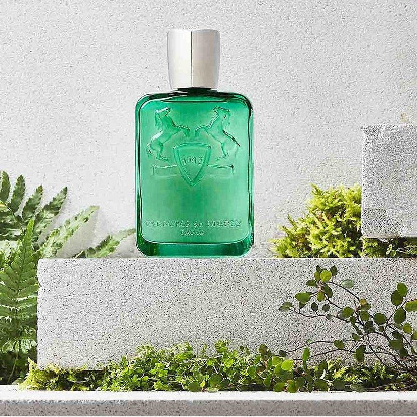 Green bottle with silver cap on a concrete surface with plants