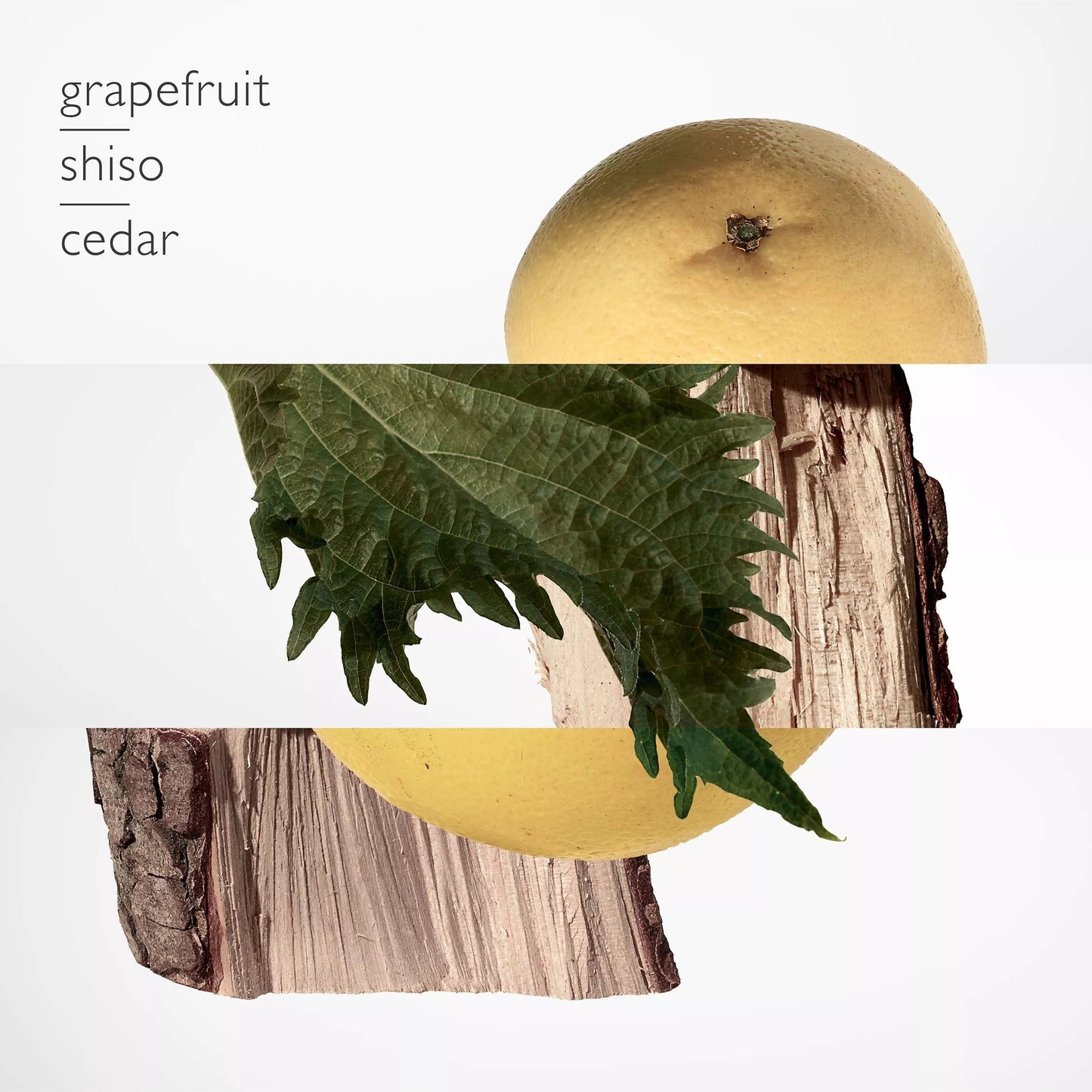 Grapefruit with shiso and cedar on a white background