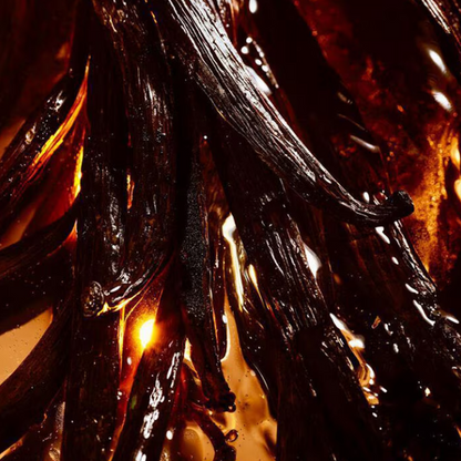 GUERLAIN Shalimar L'ESSENCE Eau de Parfum Intense