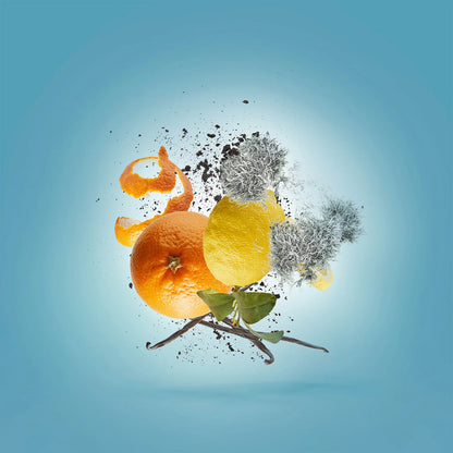 Xerjoff Erba Pura Eau de Parfum